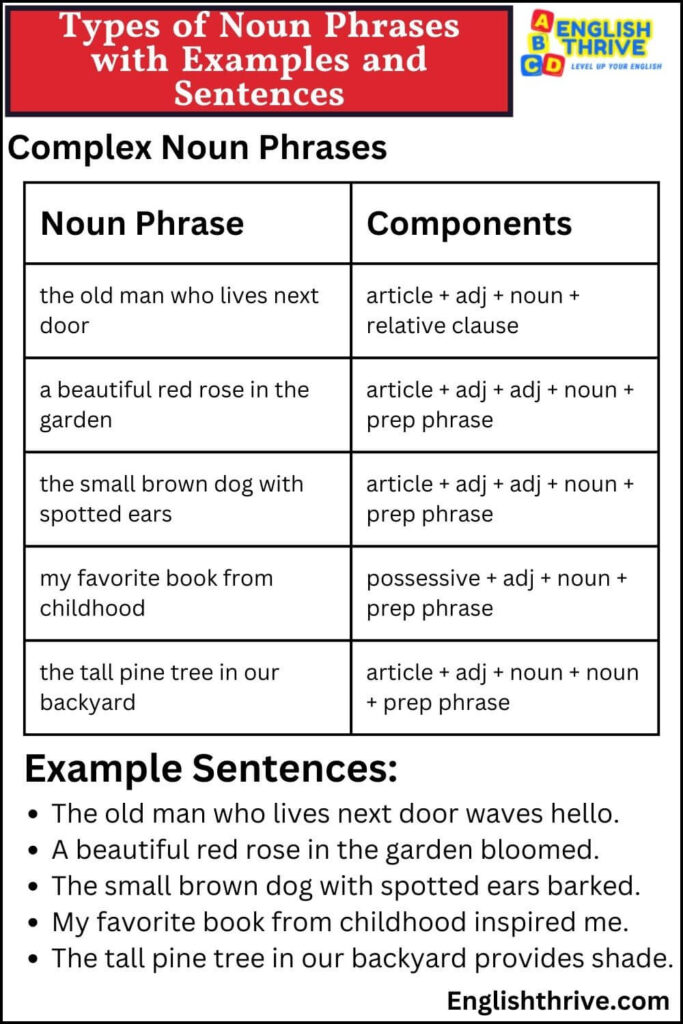 10 Examples of noun phrase in sentences with Answers