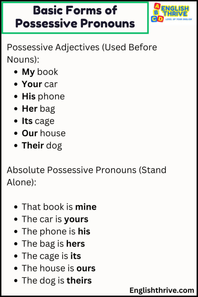 Basic Forms of Possessive Pronouns