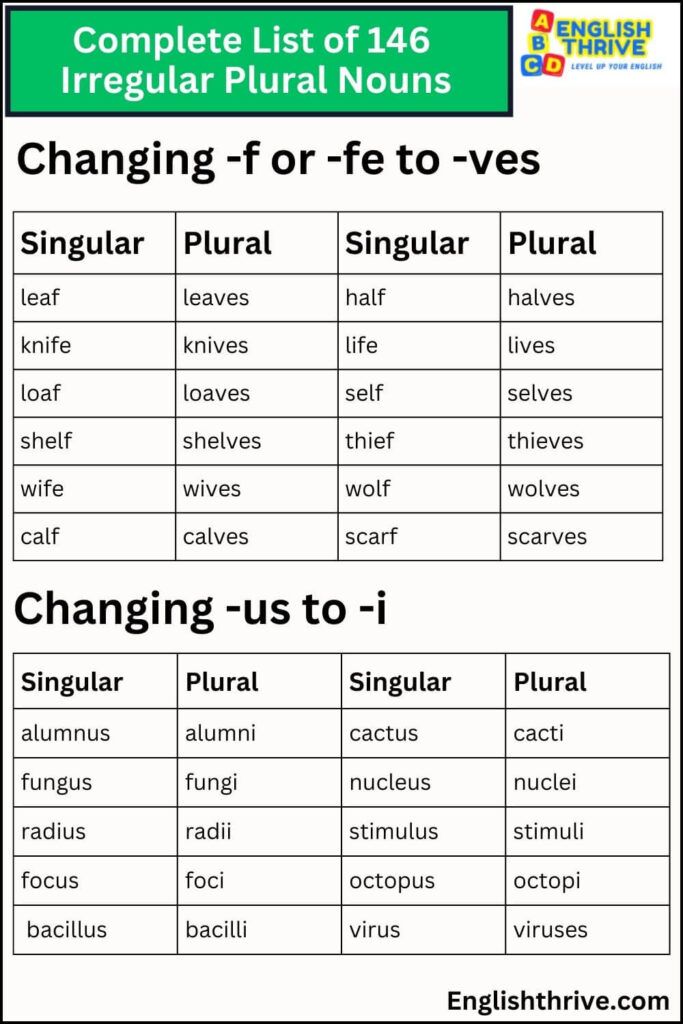 Types of Irregular Plural Nouns with Examples and Sentences