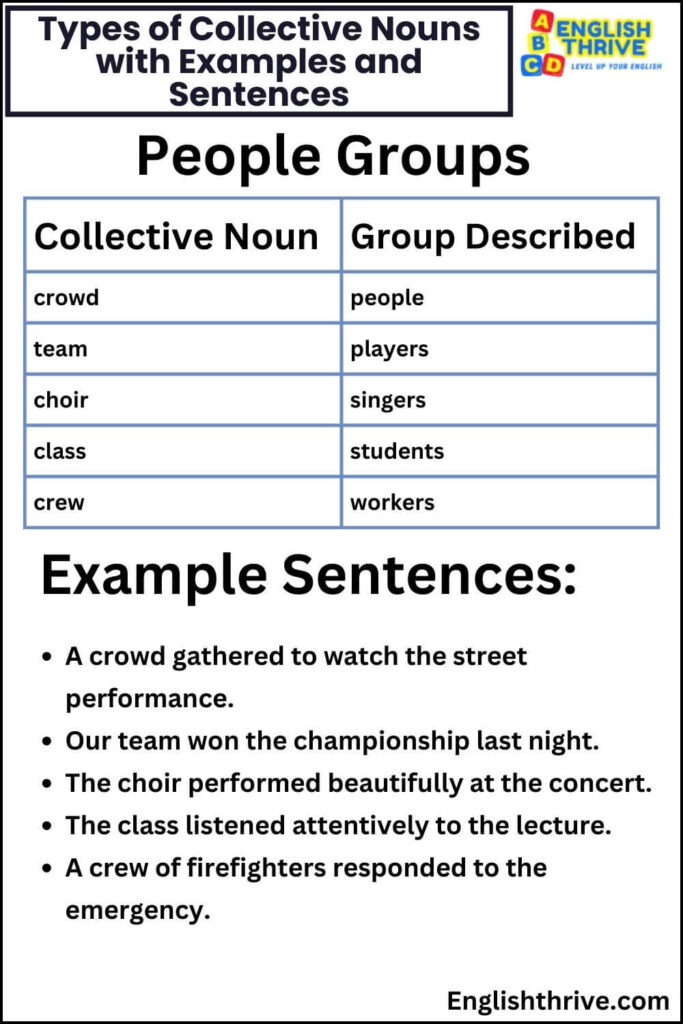 Types of Collective Nouns with Examples and Sentences