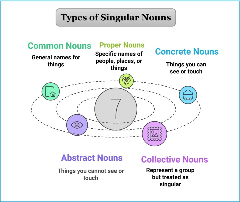 Types of Singular Nouns,Singular noun definition