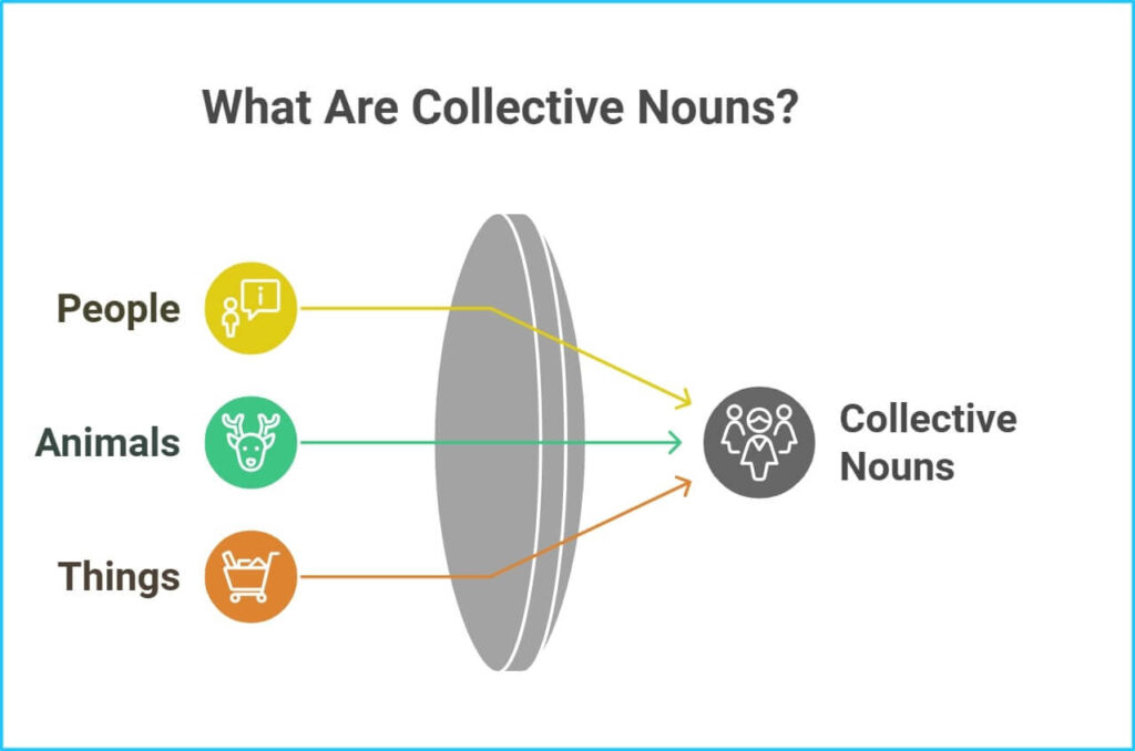 What Are Collective Nouns