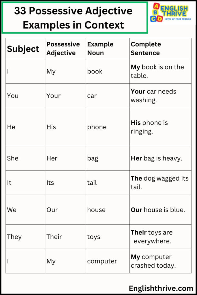 33 Possessive Adjective Examples in Context Possessive Adjective