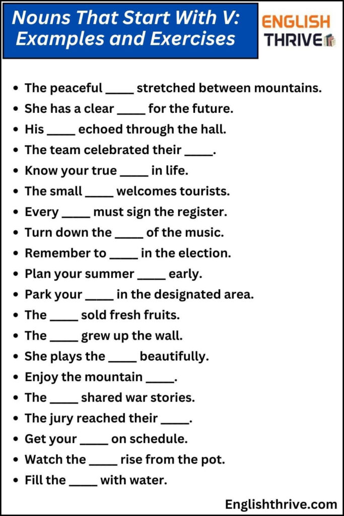 Nouns That Start With V Examples and Exercises