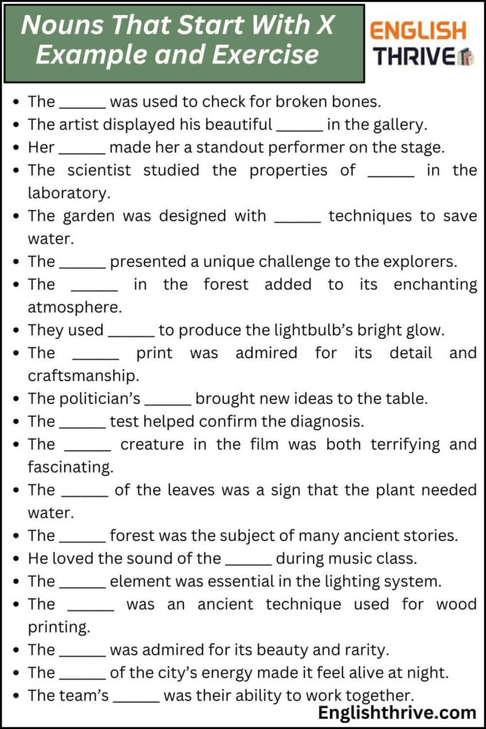 Nouns That Start With X Example and Exercise