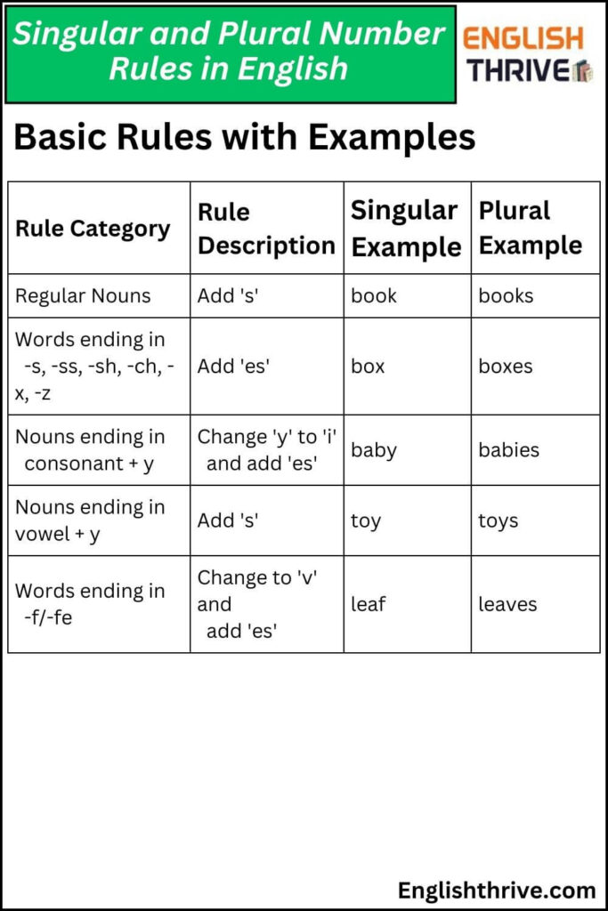 Third Person Plural Number Meaning , Examples, and Exercises