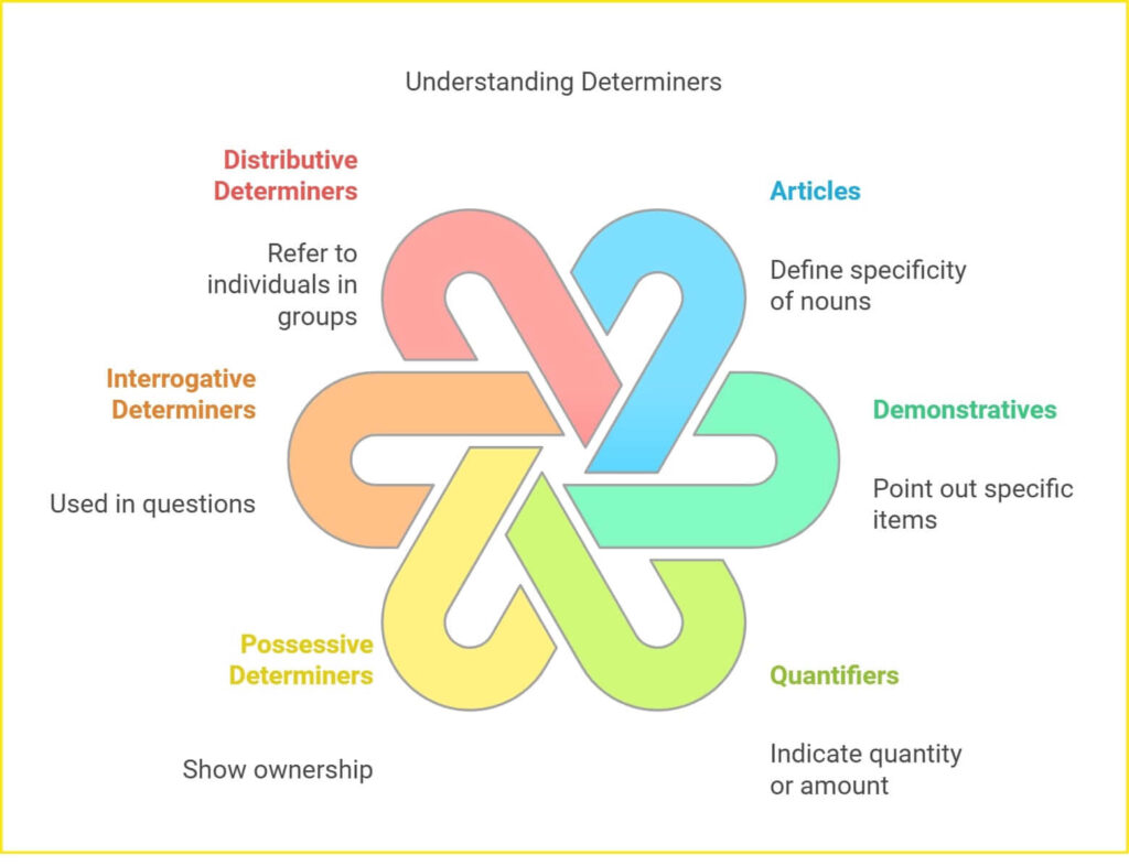 Types of determiners with examples