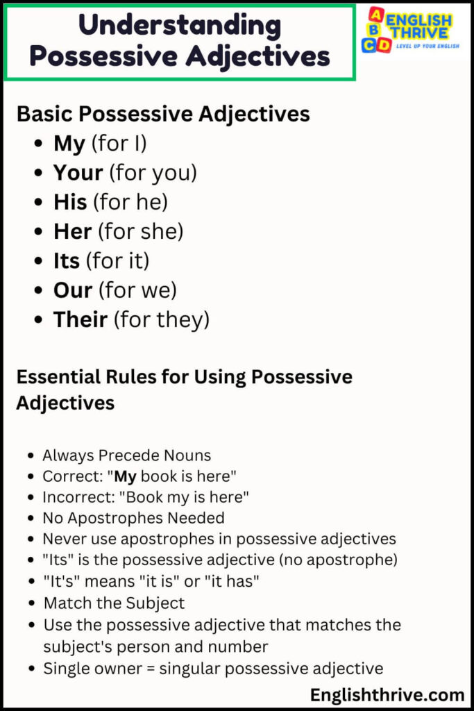 Understanding Possessive Adjective