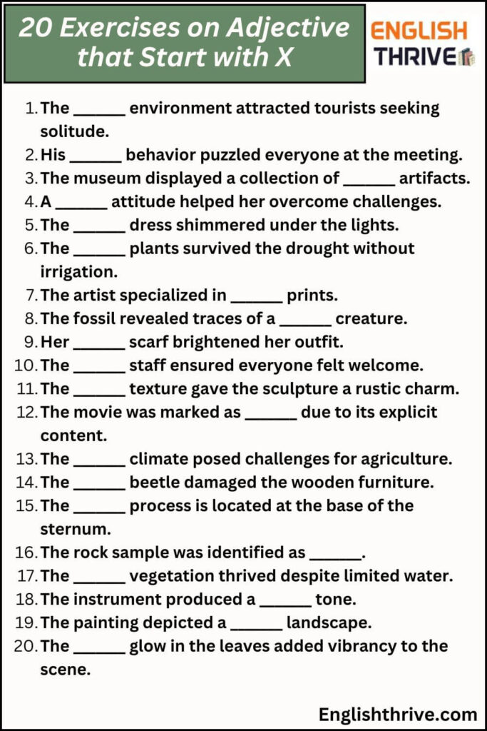 20 Exercises on Adjective that Start with X