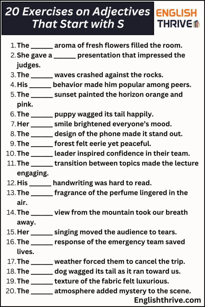 20 Exercises on Adjectives That Start with S