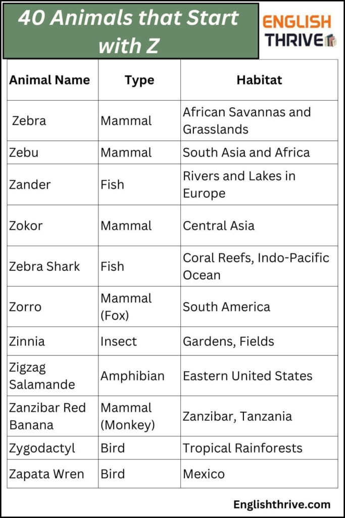 40 Animals that Start with Z
