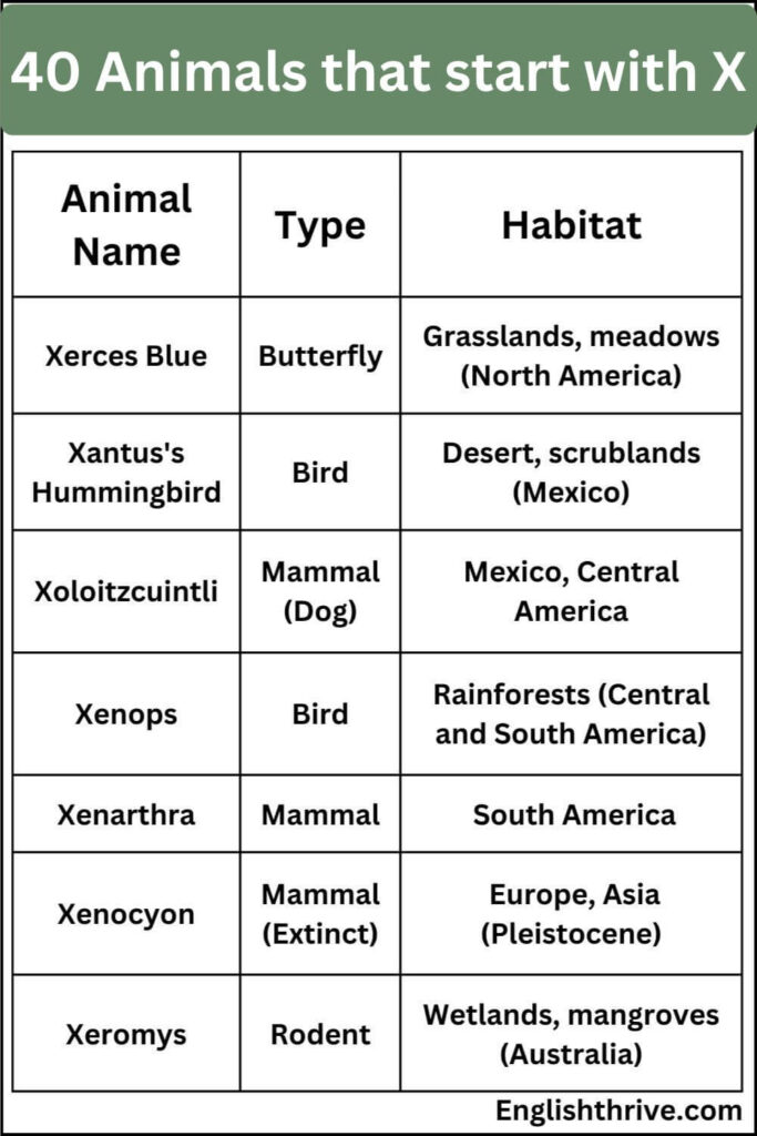40 Animals that start with X