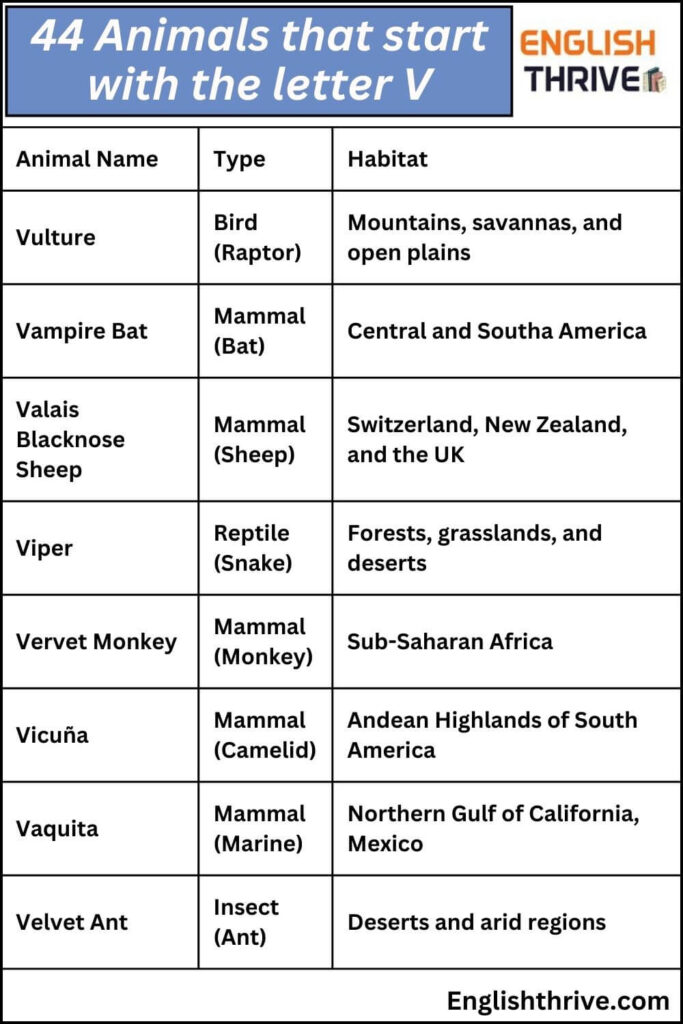 44 animals that start with the letter V