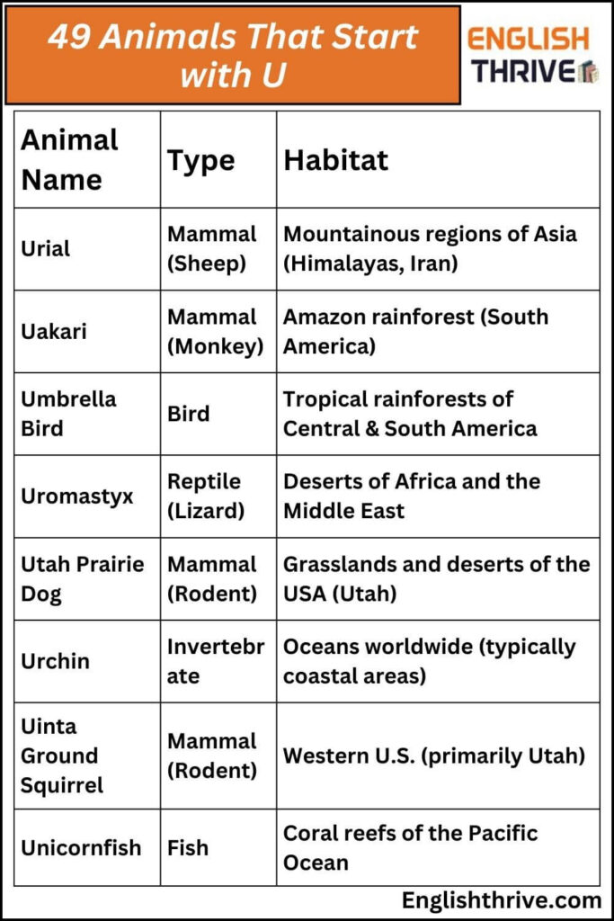 49 Animals That Start with U