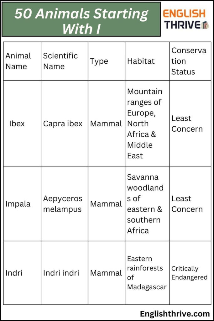 50 Animals Starting With I