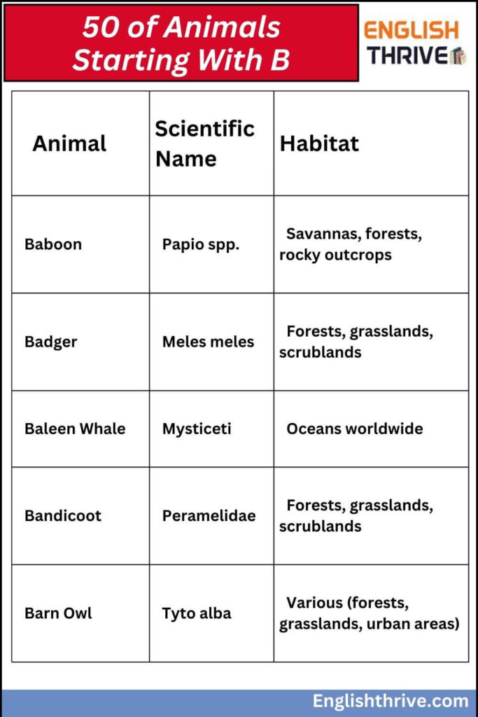 50 of Animals Starting With B