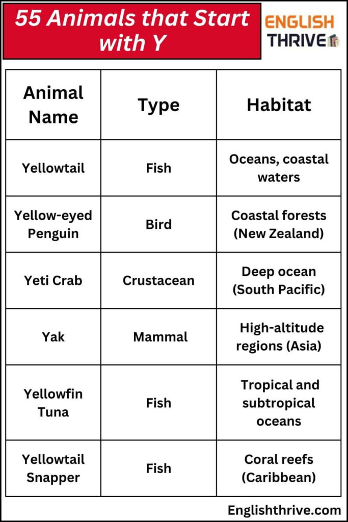 55 Animals that Start with Y