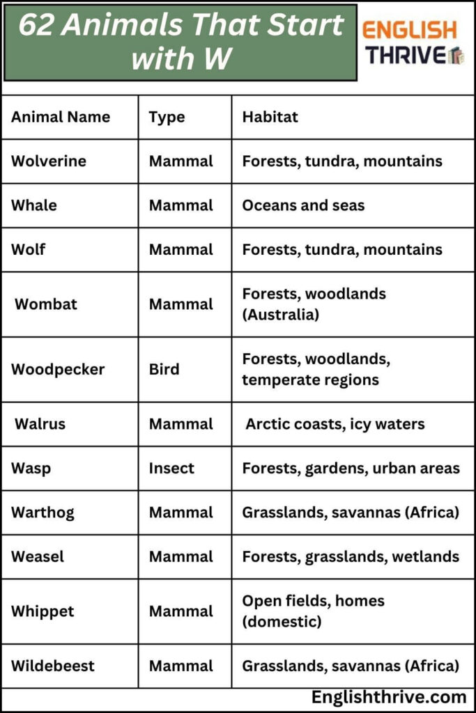 62 Animals That Start with W