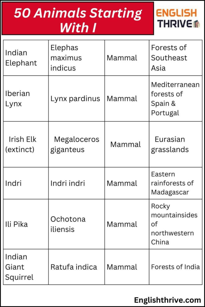 Animals Starting With I