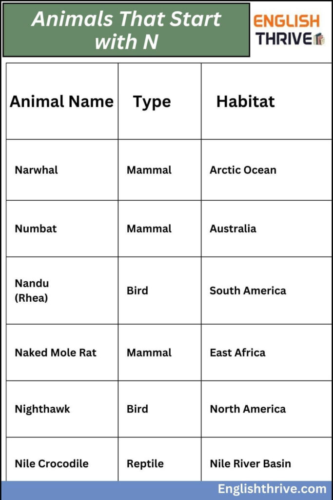 Animals That Start with N