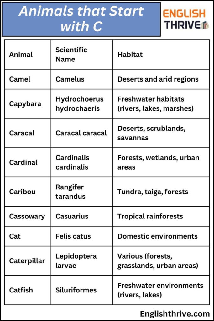 Animals that Start with C