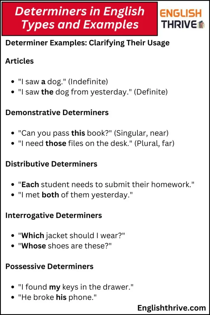 Determiners in English Types and Examples
