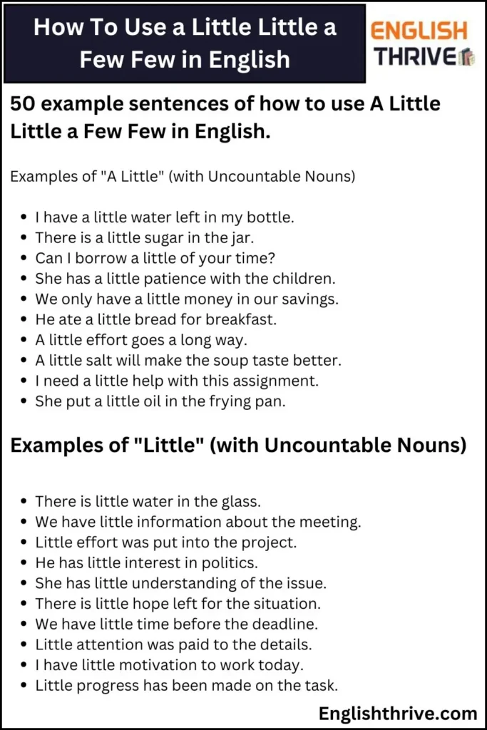 How To Use a Little Little a Few Few in English, Example Sentences
