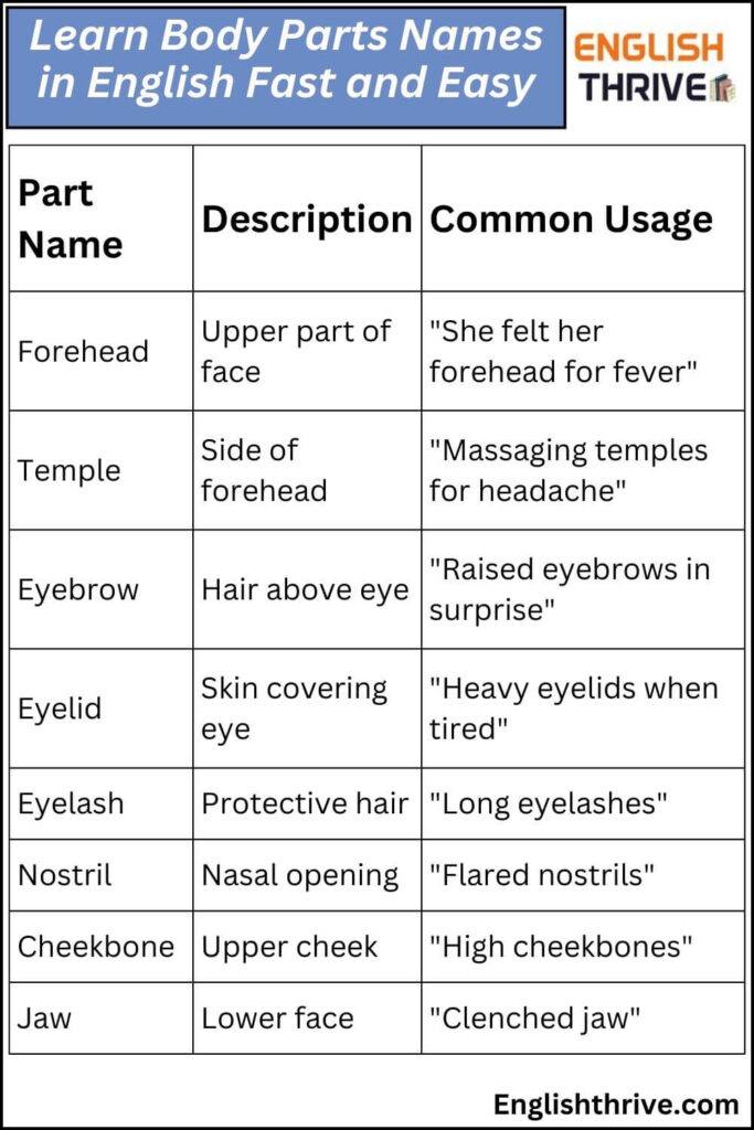 Learn Body Parts Names in English Fast and Easy