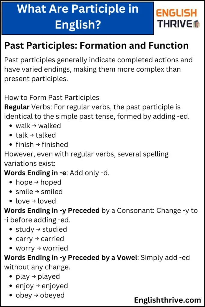 What Are Participle in English