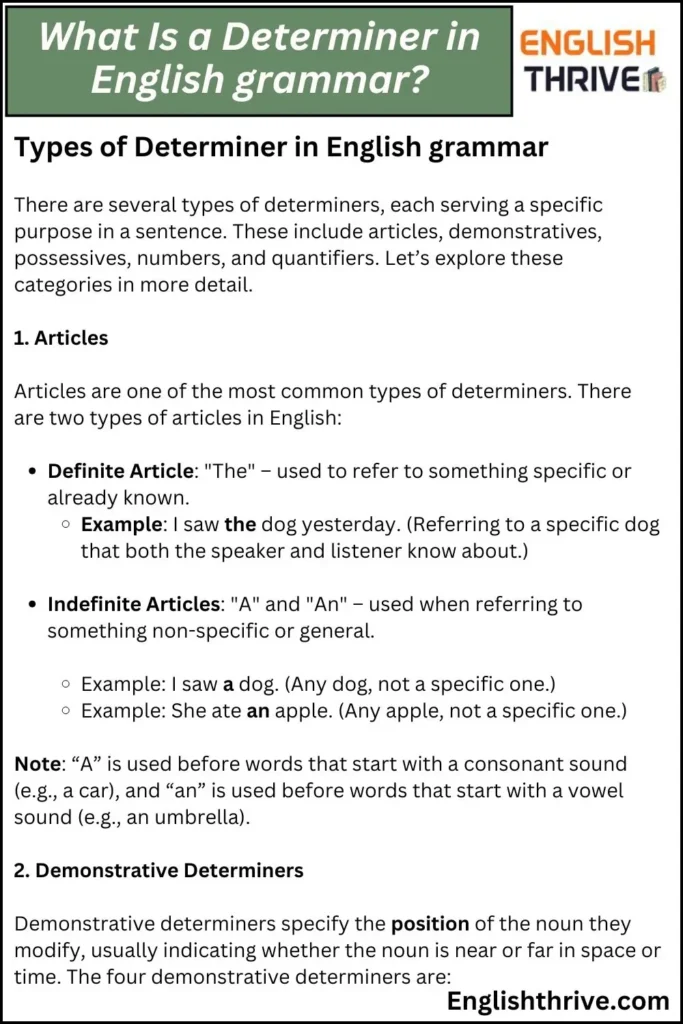 What Is a Determiner in English grammar