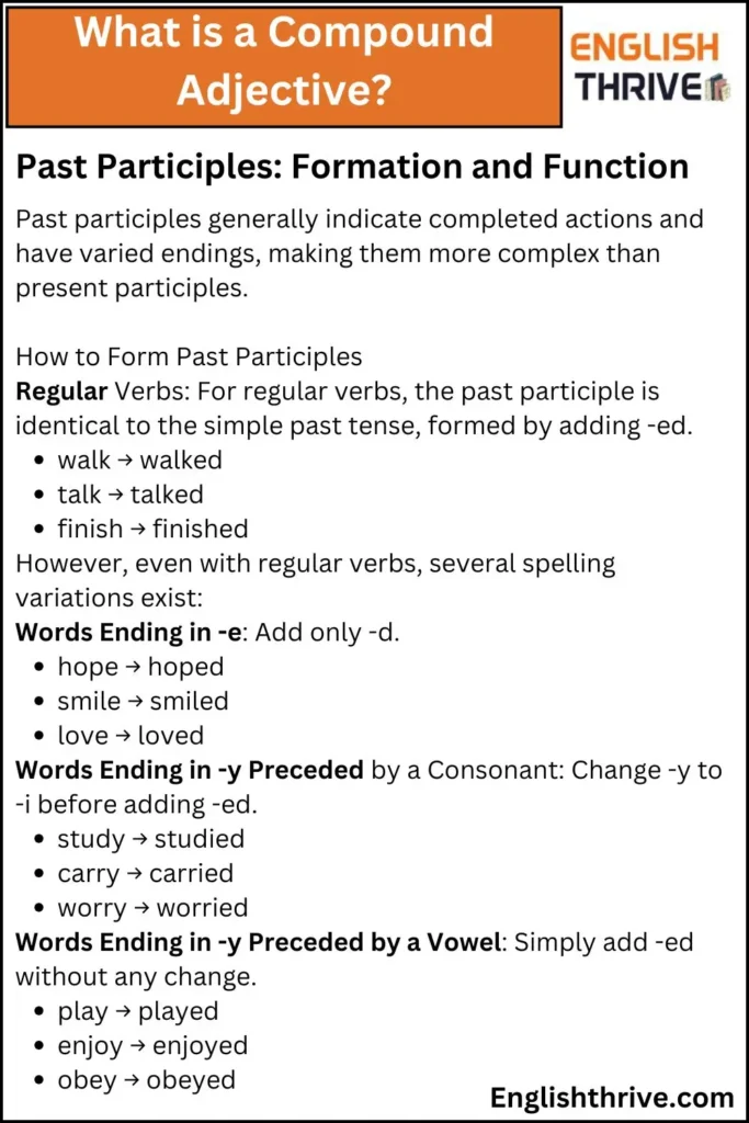 What is a Compound Adjective
