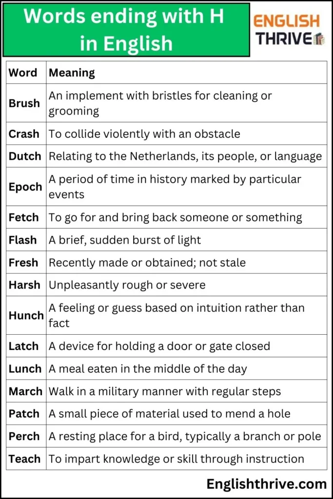 Words ending with H in English
