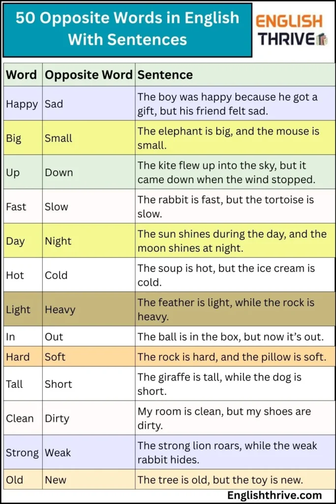 50 Opposite Words in English With Sentences (2)