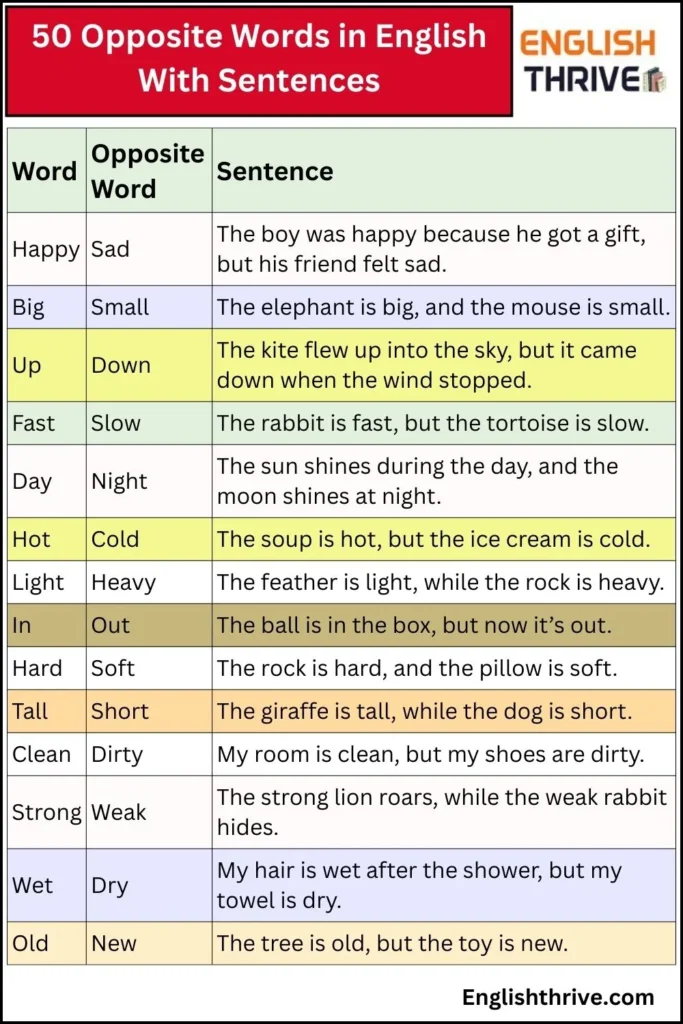 50 Opposite Words in English With Sentences