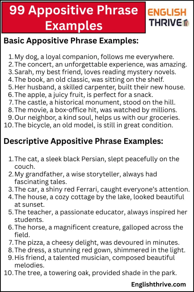 99 Appositive Phrase Examples