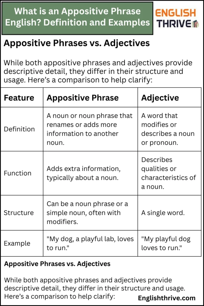 What is an Appositive Phrase English_ Definition and Examples