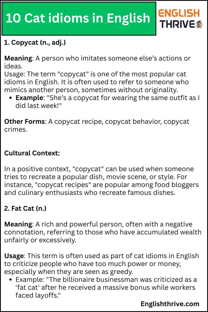 10 Cat idioms in English