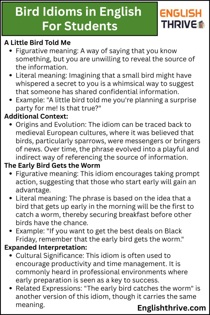 Bird Idioms in English For Students