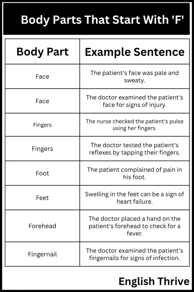 Body Parts That Start With F