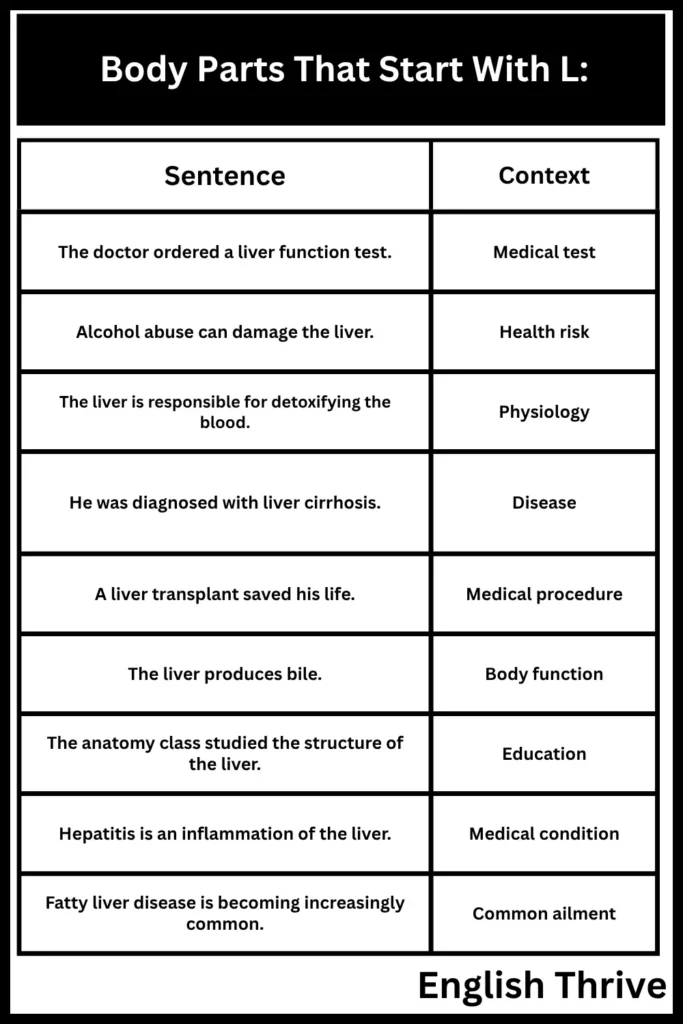 Body Parts That Start With L