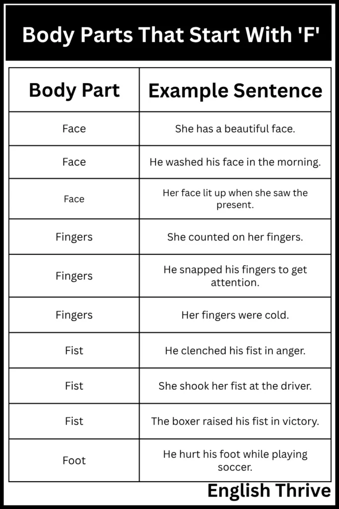 Body Parts That Start With F