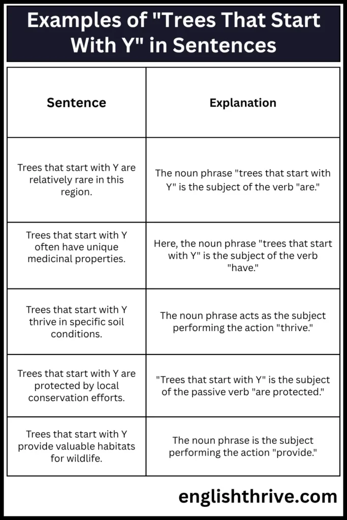 Examples of Trees That Start With Y in Sentences