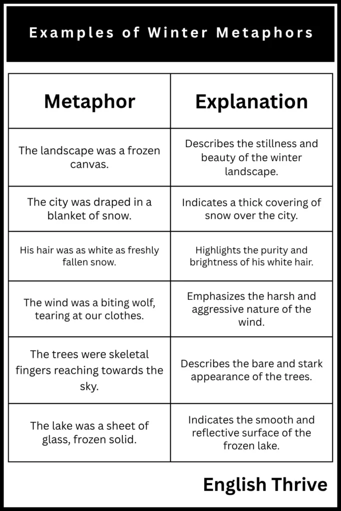 Examples of Winter Metaphors (1)