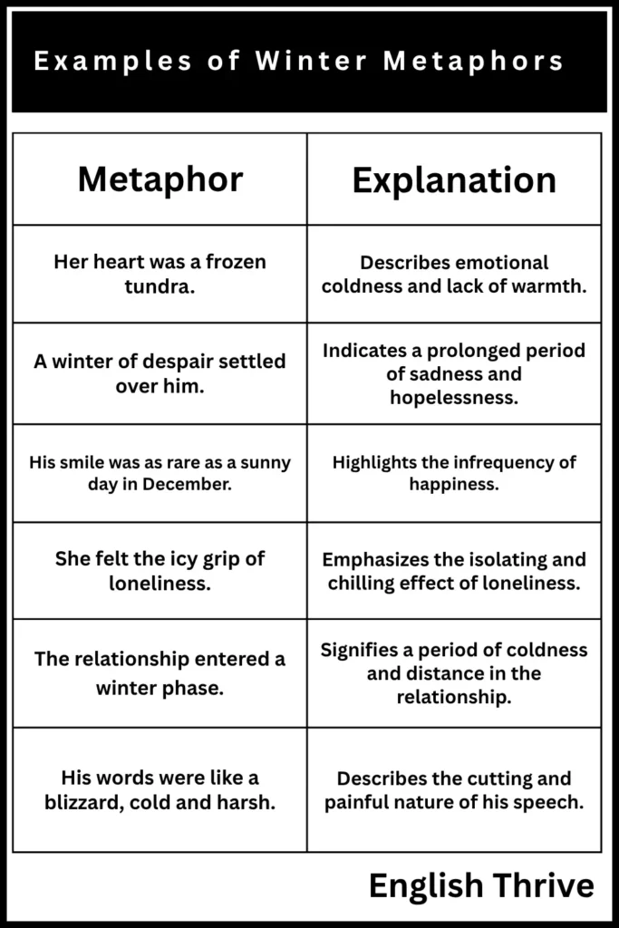 Examples of Winter Metaphors (1)