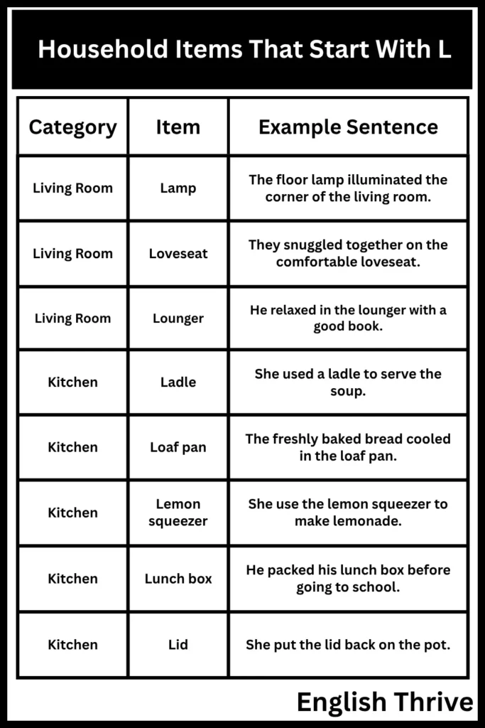 Household Items That Start With L