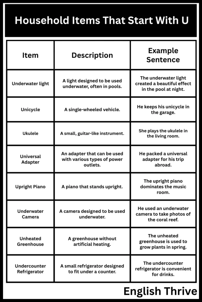 Household Items That Start With U