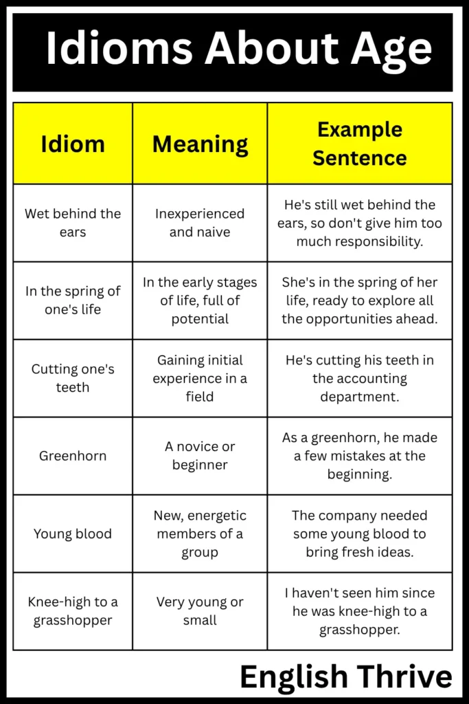 Idioms About Age