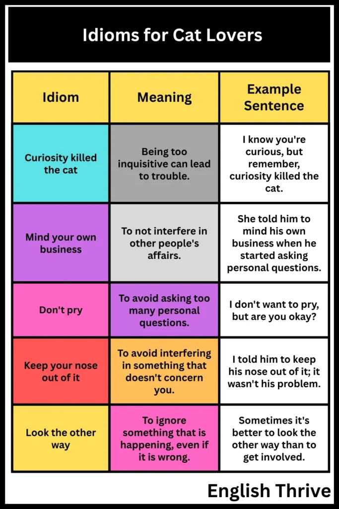 Idioms for Cat Lovers