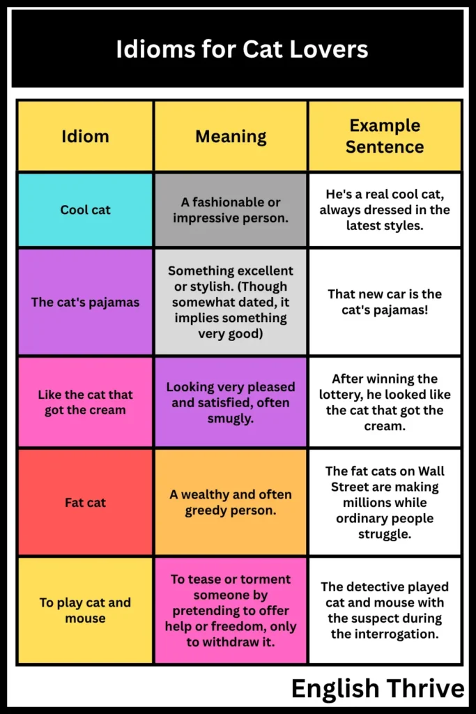 Idioms for Cat Lovers