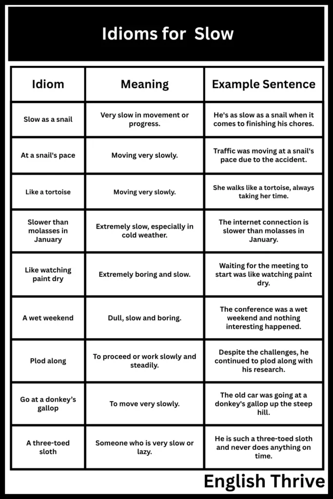 Idioms for "Slow"